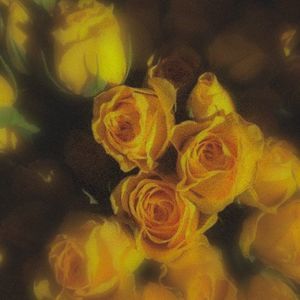 Meet your Posher, Sierra